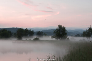 Den Nebel lichten und Gott neu entdecken