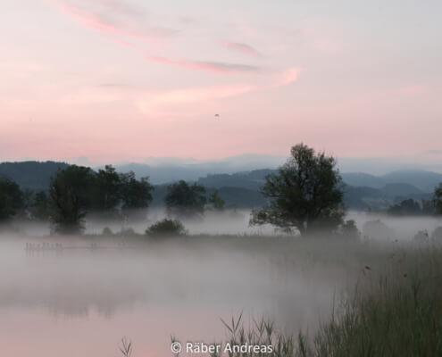 Den Nebel lichten und Gott neu entdecken