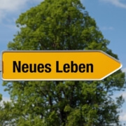 Input «Neuorientierung: Wohin soll ich gehen?»